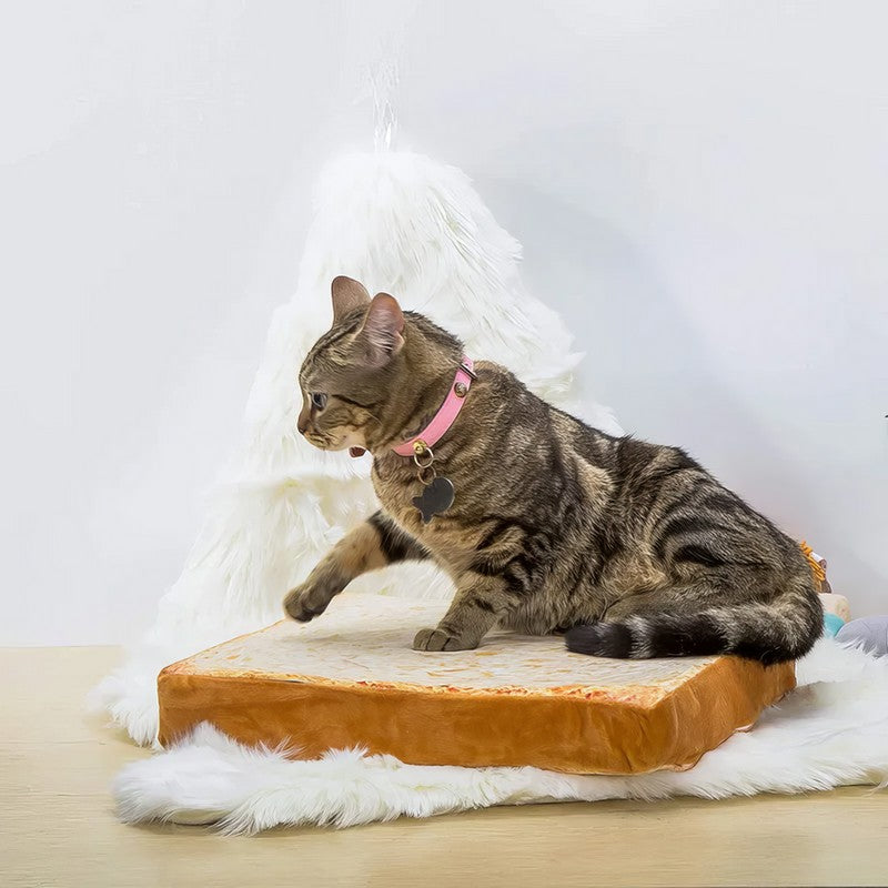 Cozy Toast Bed