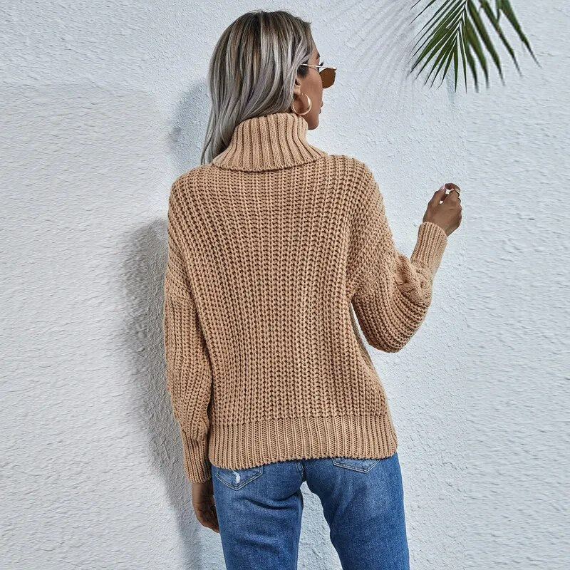 Thick Warm Turtleneck Sweater