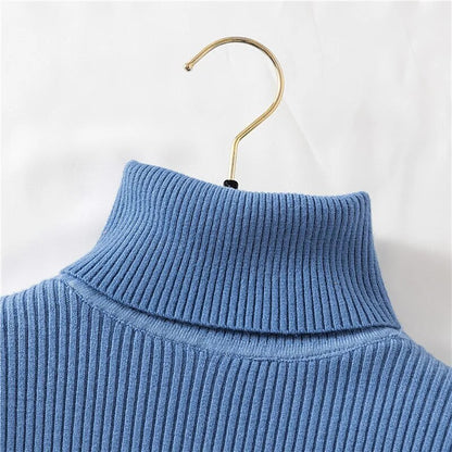Velvet Turtleneck Sweater