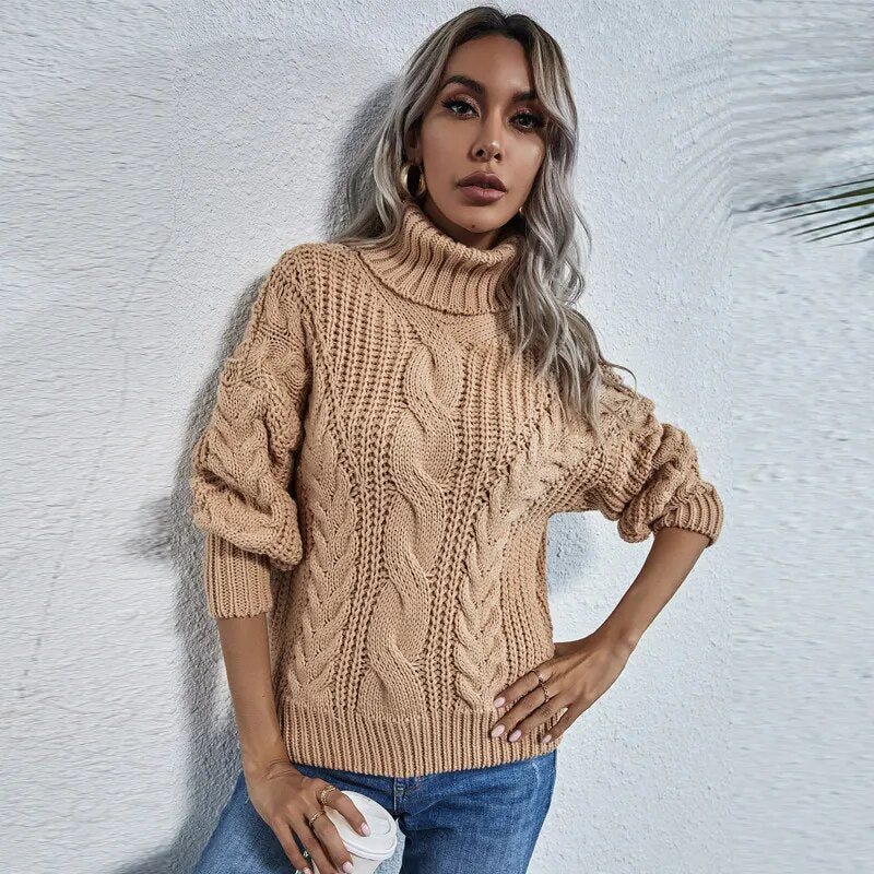 Thick Warm Turtleneck Sweater