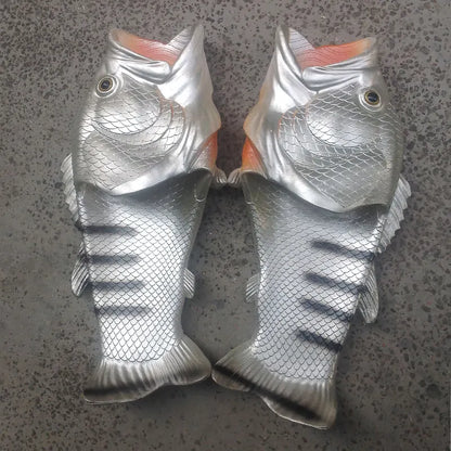 Fish Slides